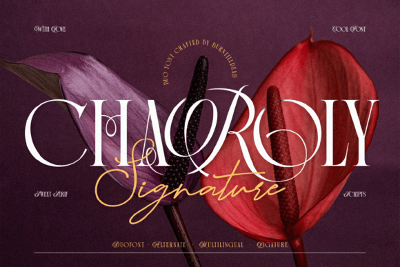 Charoly Signature: Elegant Serif Meets Script Charm